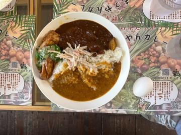 もうやんカレー