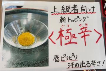 極辛