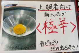 極辛
