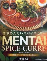 博多めんたいスパイスカリー