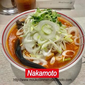 北極の春 3倍