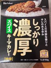 しっかり濃厚スパイスキーマカレー