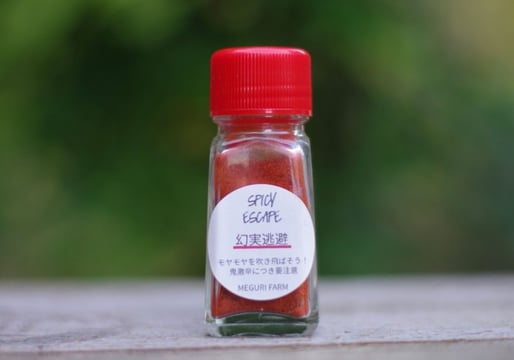 幻実逃避2020年バージョン