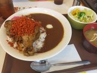 ファイヤー炭火チキンカレー 辛さ苦手、子供はご遠慮