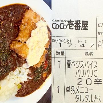 チキン と夏ベジのスパイスカレー パリパリチキン 20辛