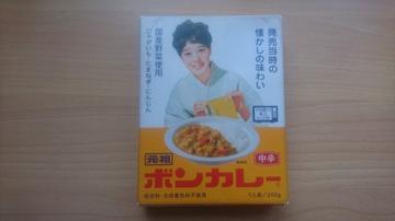元祖 ボンカレー 中辛