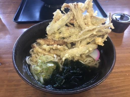 ごぼう天うどん