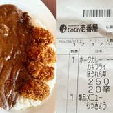 カキフライ ほうれん草カレー 20辛