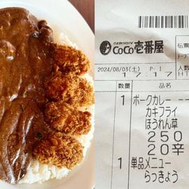 カキフライ ほうれん草カレー 20辛