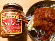 ざく切り野菜のサルサ  ホット 唐辛子4本