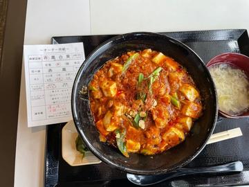 麻婆豆腐丼  赤  5辛