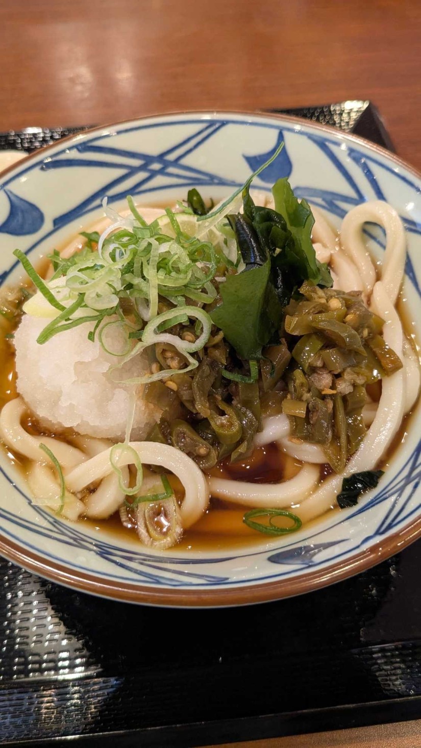 青唐おろしぶっかけうどん 並  激辛