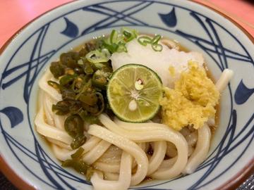青唐おろしうどん 生姜増し