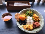 ネワリサマエバジセット