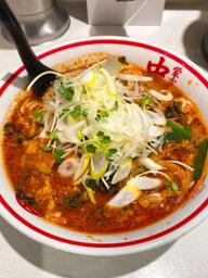 北極の春 9辛3倍