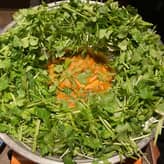 爆盛りパクチーと水菜のトムヤムクン鍋