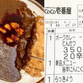 手仕込とんかつ 旨辛にんにくカレー 20辛