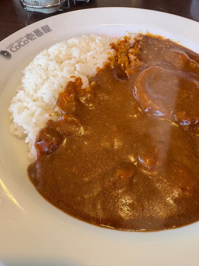 ポークカレー  10辛