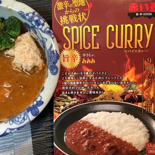 赤い壺のチキンスパイスカレー 旨辛