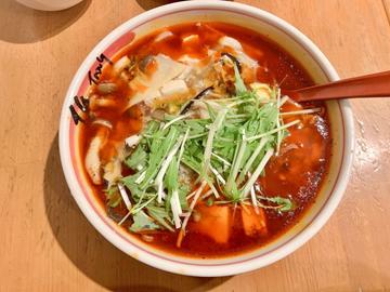 麻辣酸辣湯麺   5辛 5辛
