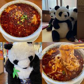 刀削麺 普通