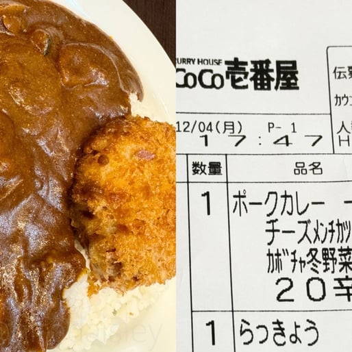 手仕込チーズメンチカツ カボチャ冬野菜カレー 20辛