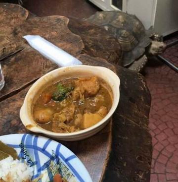インディアンピリピリカレー