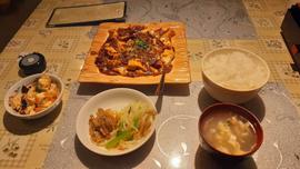 麻婆豆腐 辛目