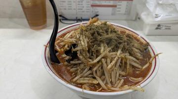 北極の炎 10倍