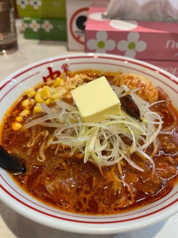 北極の超 10