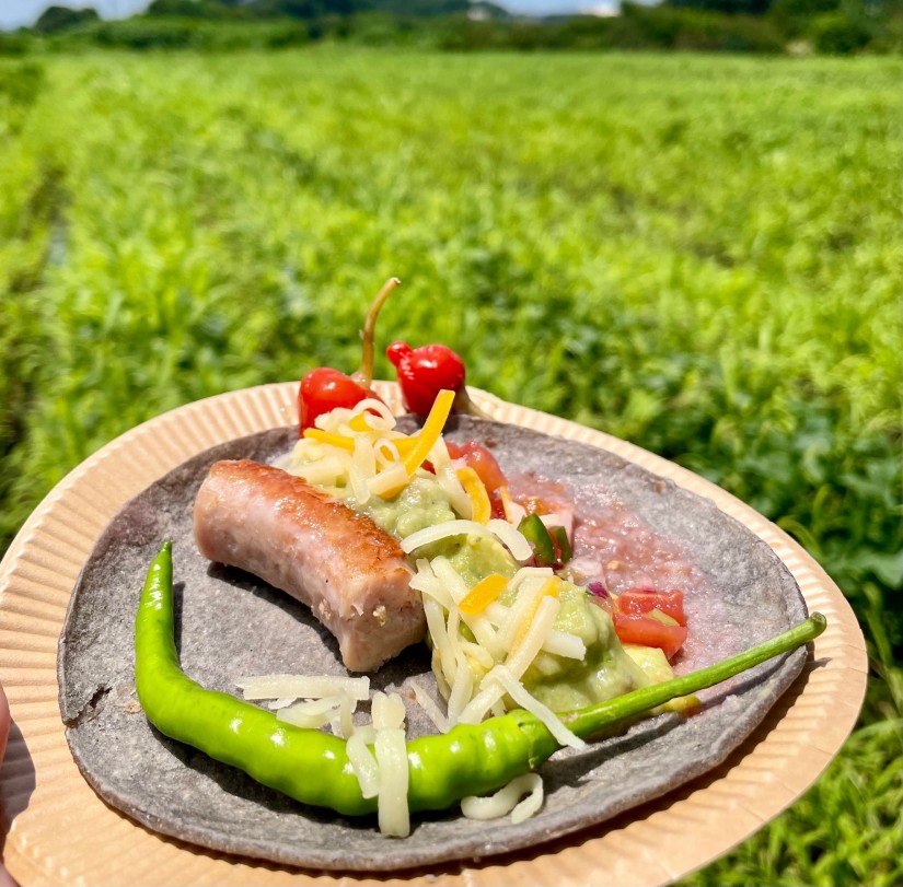 プサジェラ（インドジン・ウソツカナイ）