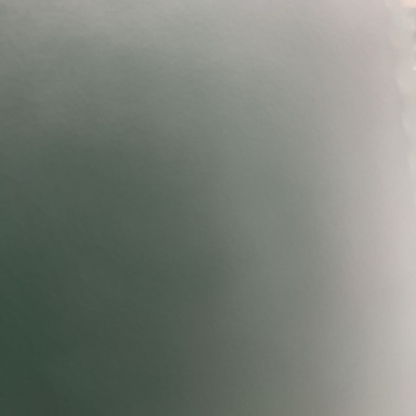 激辛成都麻辣豆腐 1から5までの辛さを選べます。MAXで食べました