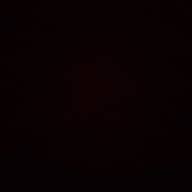 熟成ベーコンのアマトリチャーナ