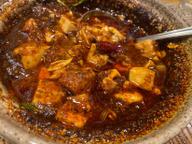 麻婆豆腐 マグマ