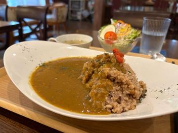 薬膳美人カレー
