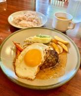 手ごねジューシーハンバーグ ペッパーソース
