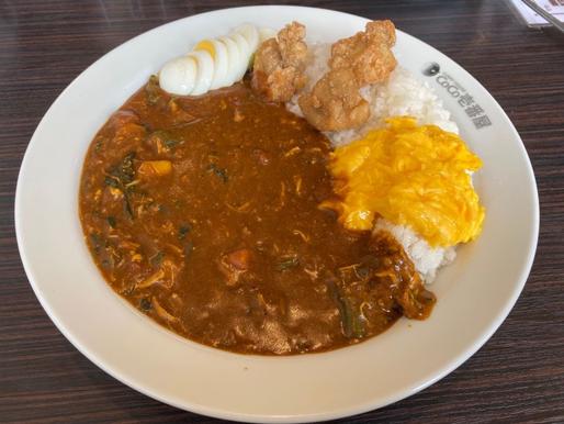 チキンと夏野菜のカレー(トッピング色々) 15辛