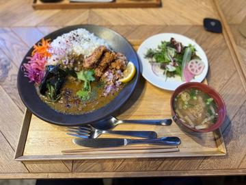 THE 唐揚げカレー