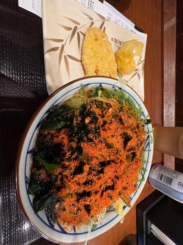 かけうどん