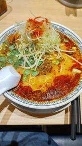 しびれる辛さの麻辣担々麺