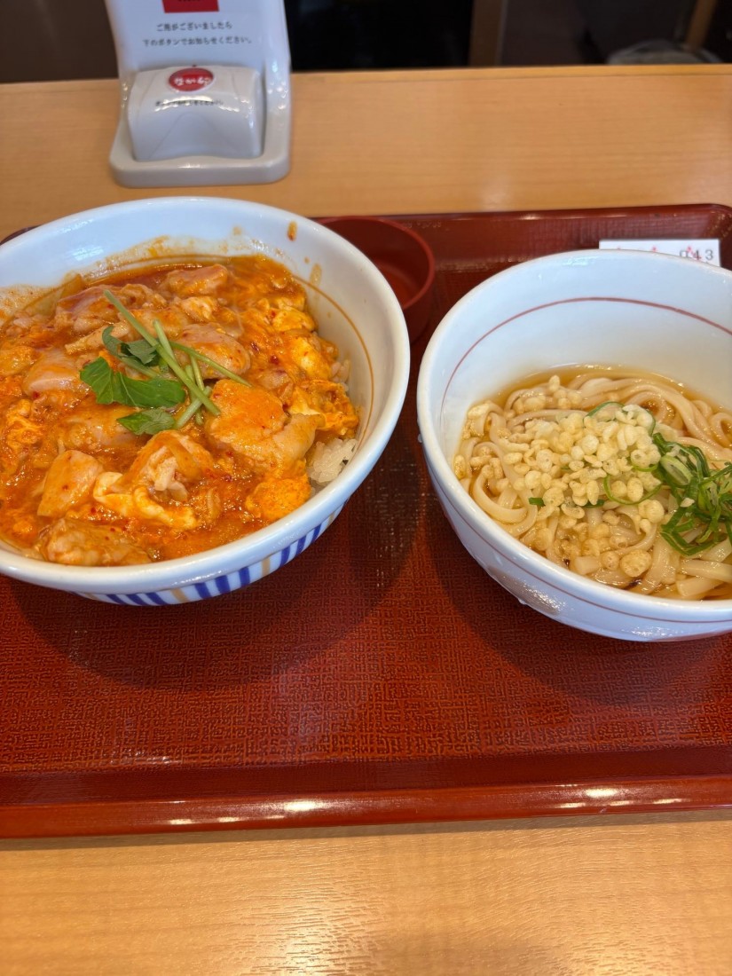 辛旨赤の親子丼
