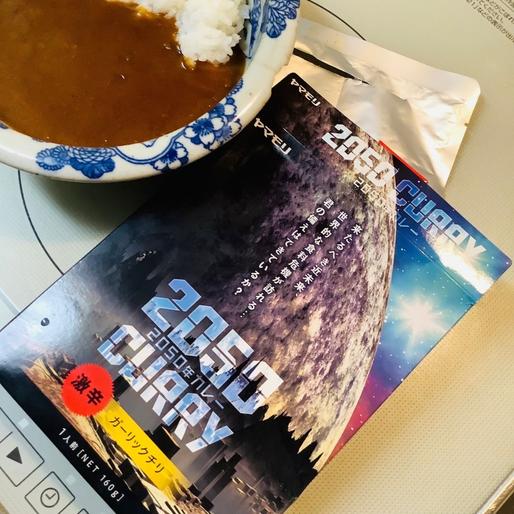 2050年カレー　ガーリックチリ