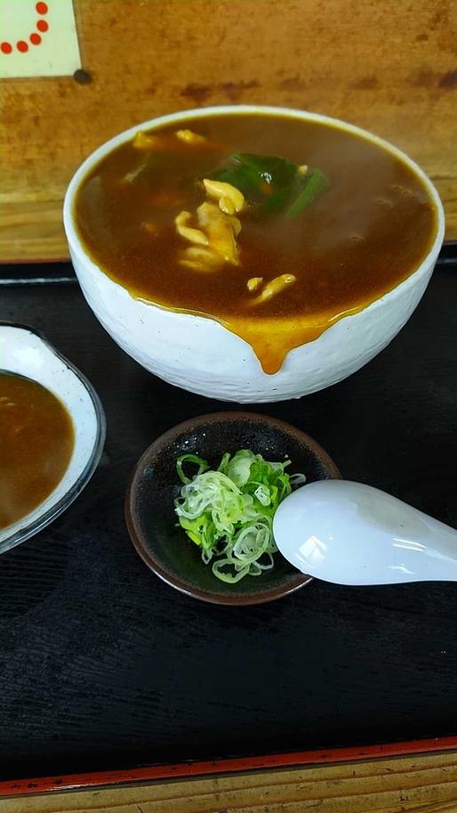 カレー南うどん