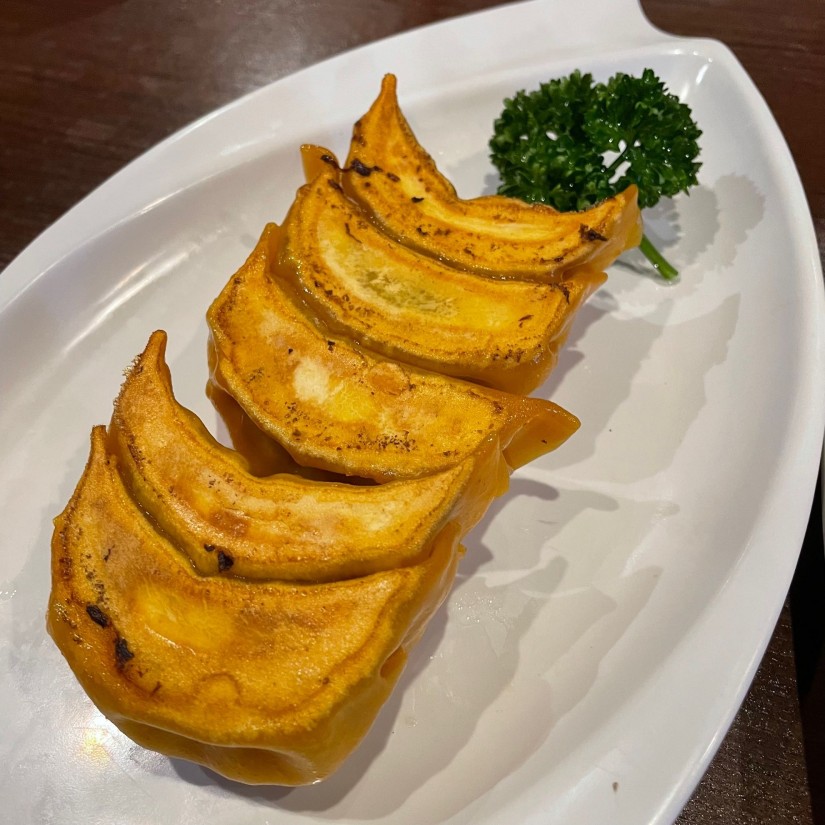 自家製四川風辣餃子