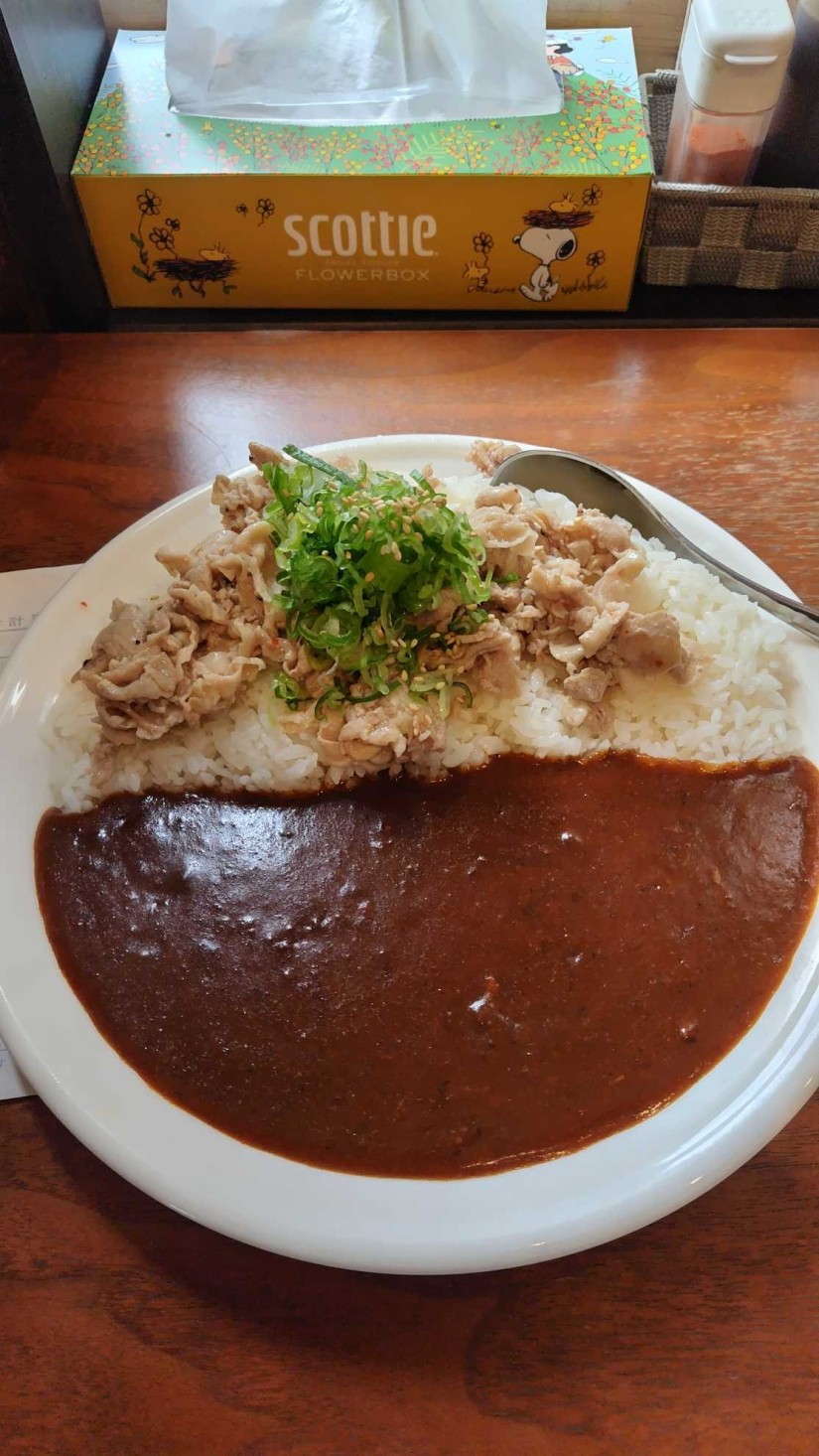 豚ねぎ塩カレー 100辛