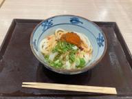 冷し担々うどん