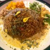 ドライキーマ 辛さ3