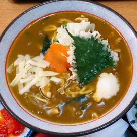 豊橋カレーうどん