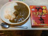 ハブカレー 中辛