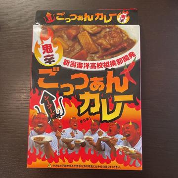 シーフードごっつぁんカレー 鬼辛